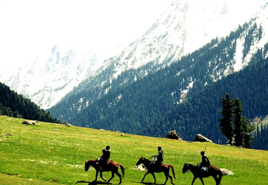 Kashmir Package