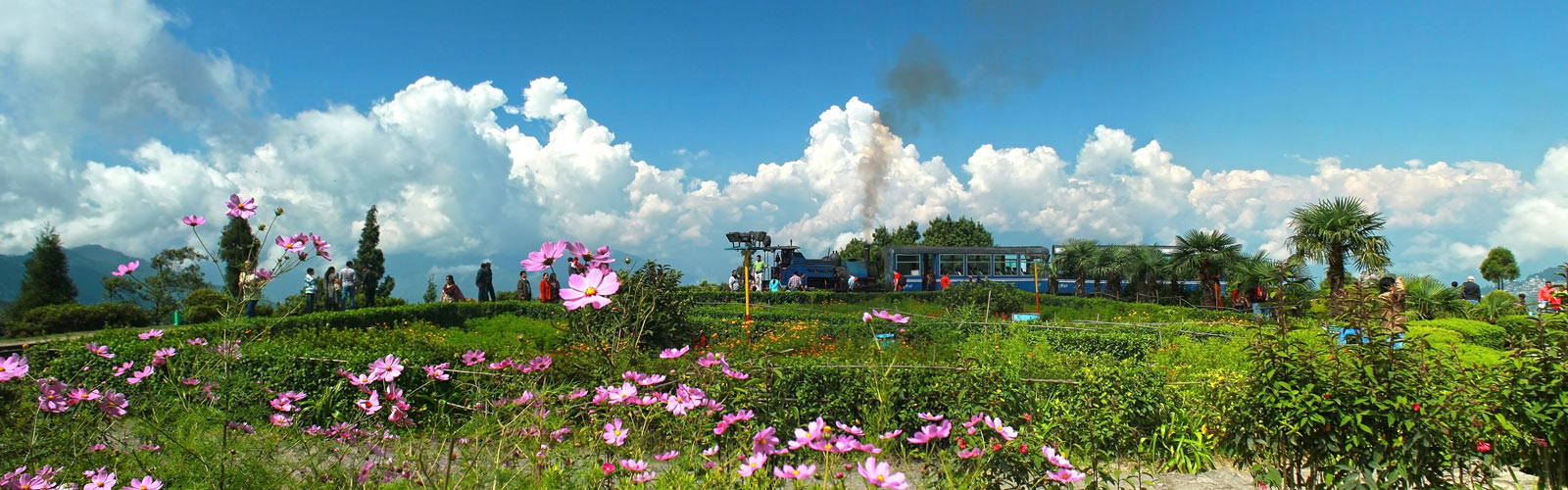 Darjeeling Tour Package