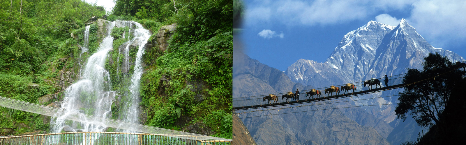 Best Of Darjeeling Tour