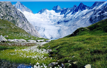 Switzerland Tour Packages