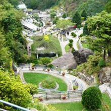  Darjeeling Tour Packages 6N/7D