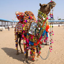 Spritual Rajasthan Tour Package