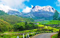 Munnar Sightseeing