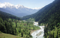 Jummu Kashmir Tour Package