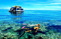 Havelok Sightseeing Tour Package