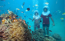 Andaman Holidays package