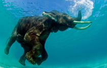Underwater Sightseeing Tour Package