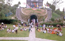 darjeeling Sightseeing Package