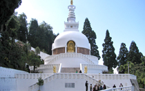 Honeymoon Package In Darjeeling