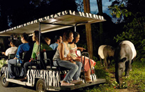 Singapore Tour Package