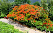 Kerala vacations Package