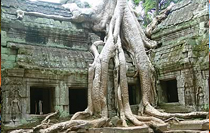 Vietnam Cambodia Tours