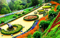 Ooty Tour Package