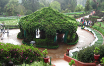 Mysore Banglore Tour Package