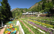 Nainital Almora Tour Package