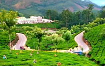 Kerala Honeymoon Tour Package