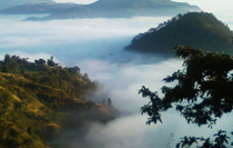 Nainital Corbett Tour Package